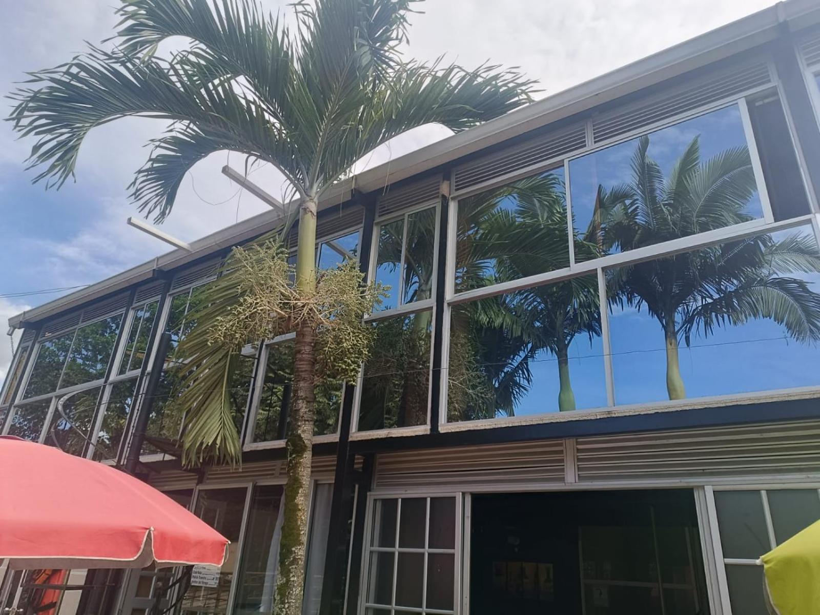 Akuarela Apartamentos Campestres Ibague Ngoại thất bức ảnh